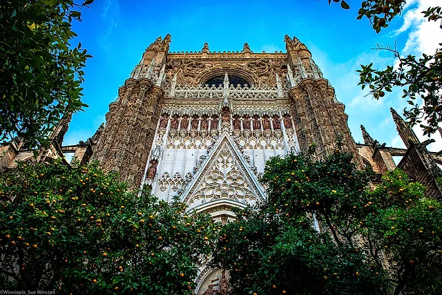 The Gothic Puerta de la Concepción seen through orange trees